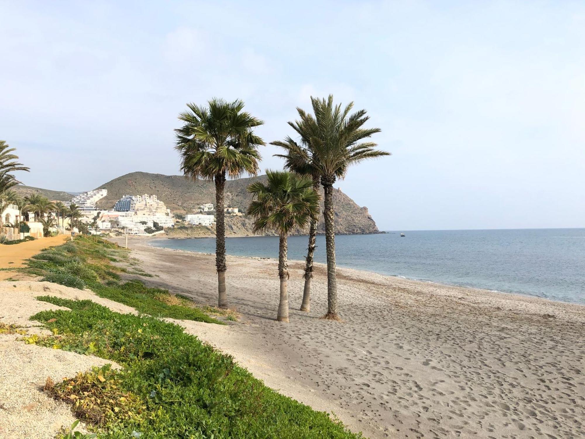 Atico Con Fantastica Terraza